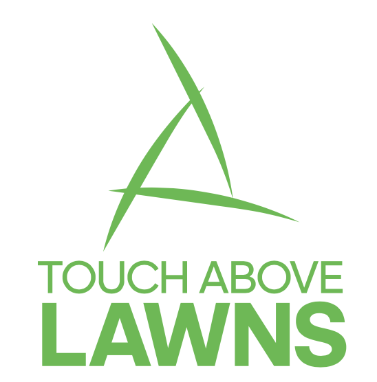 Touch Above Lawns